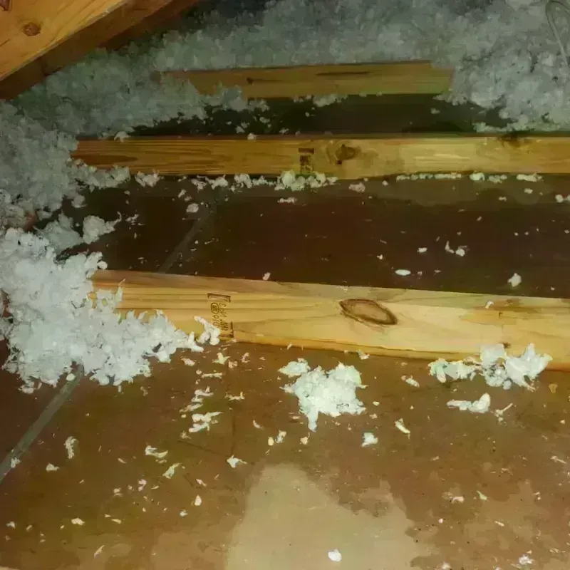 Attic Water Damage in Winchester, MA